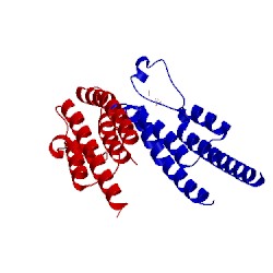 Image of CATH 5pph