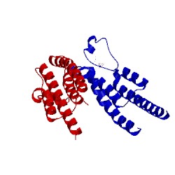 Image of CATH 5prd