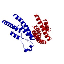 Image of CATH 5psh