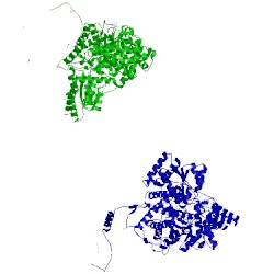 Image of CATH 5req