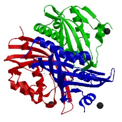 Image of CATH 5std