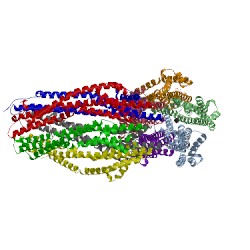 Image of CATH 5sv0