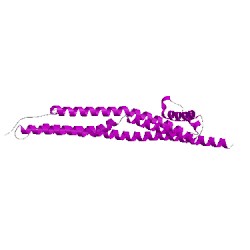 Image of CATH 5sv0A