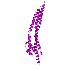 Image of CATH 5sv1D00