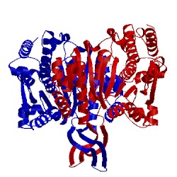 Image of CATH 5svn