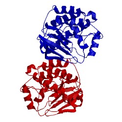 Image of CATH 5swh