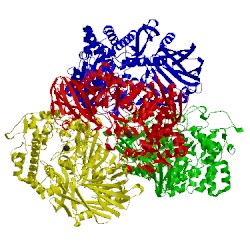 Image of CATH 5swi