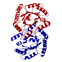 Image of CATH 5swu