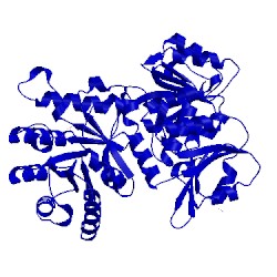 Image of CATH 5swv