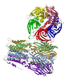 Image of CATH 5sxv