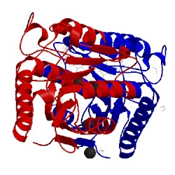 Image of CATH 5sym