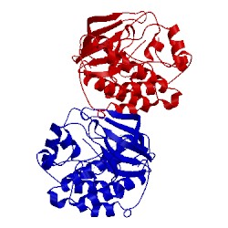 Image of CATH 5sys