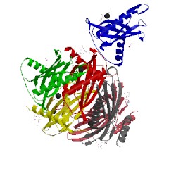Image of CATH 5t02