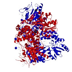 Image of CATH 5t03