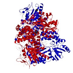 Image of CATH 5t05