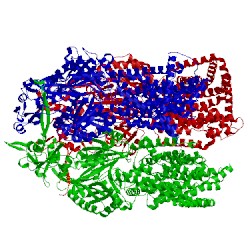 Image of CATH 5t0o