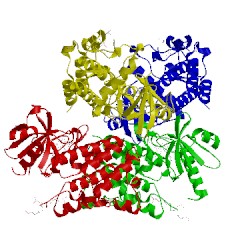 Image of CATH 5t1s