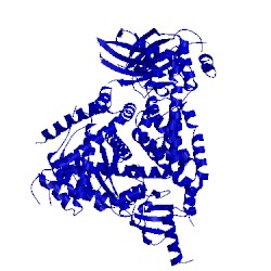 Image of CATH 5t27