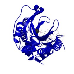 Image of CATH 5t2h