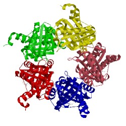 Image of CATH 5t2k