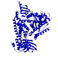 Image of CATH 5t2l