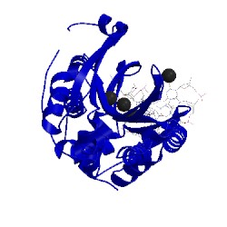Image of CATH 5t2n