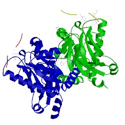 Image of CATH 5t2s