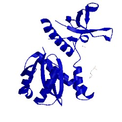 Image of CATH 5t3a