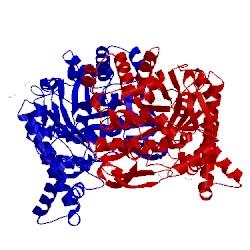 Image of CATH 5t3b