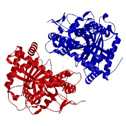 Image of CATH 5t3e