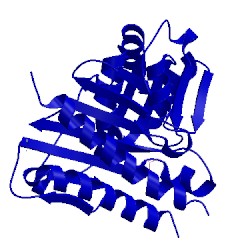 Image of CATH 5t3j