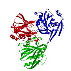 Image of CATH 5t3p