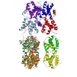 Image of CATH 5t3t