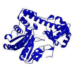 Image of CATH 5t4l