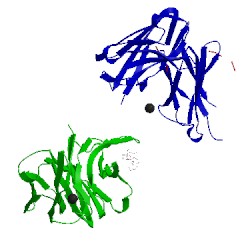 Image of CATH 5t4z
