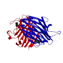 Image of CATH 5t50