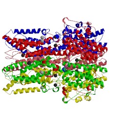 Image of CATH 5t5n