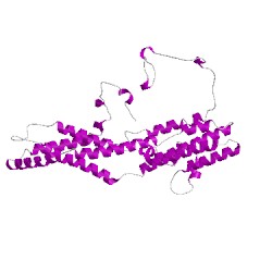 Image of CATH 5t5nE