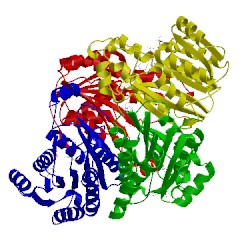 Image of CATH 5t5q