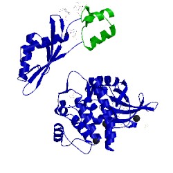 Image of CATH 5t5t