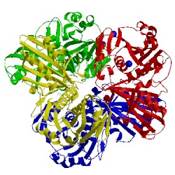 Image of CATH 5t73
