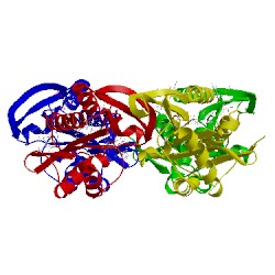 Image of CATH 5t7e
