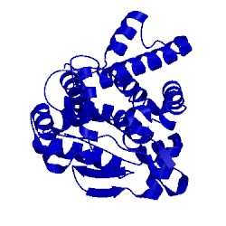 Image of CATH 5t8c