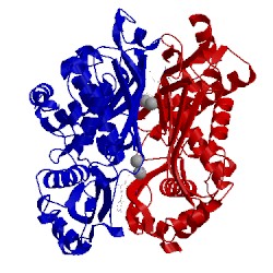 Image of CATH 5t8s