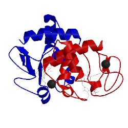 Image of CATH 5t8w