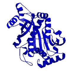 Image of CATH 5tbs