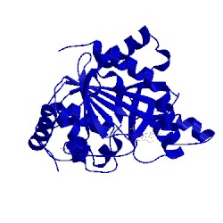 Image of CATH 5tbv