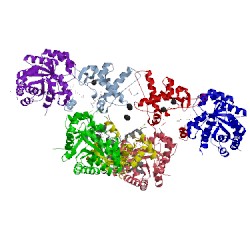 Image of CATH 5tcj
