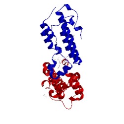 Image of CATH 5tck