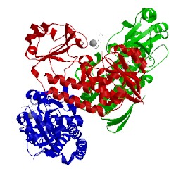 Image of CATH 5tcy